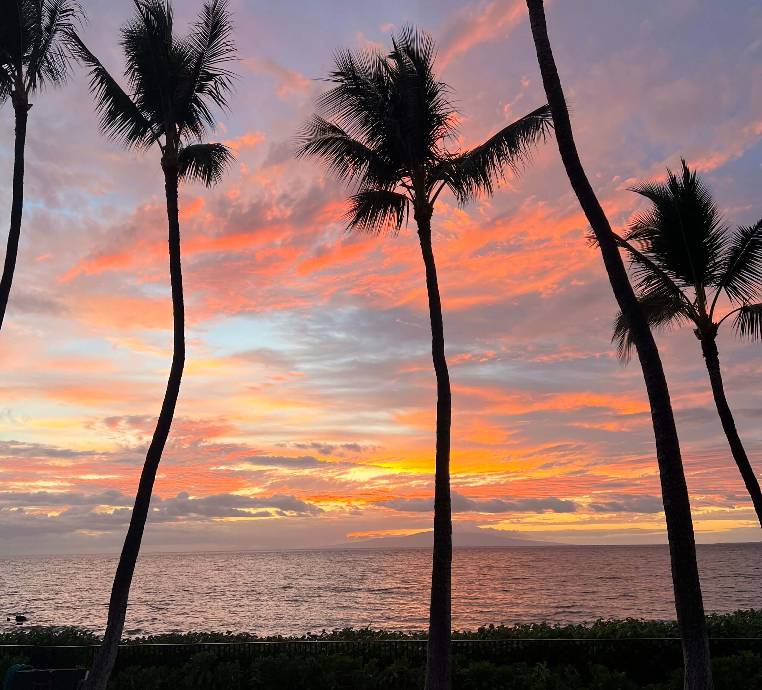 Silhouetted palm trees over glowing ocean sunset
